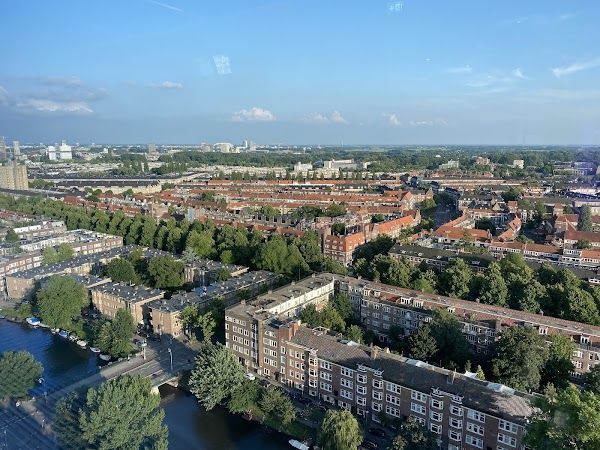 Hanneke's Boom Amsterdam