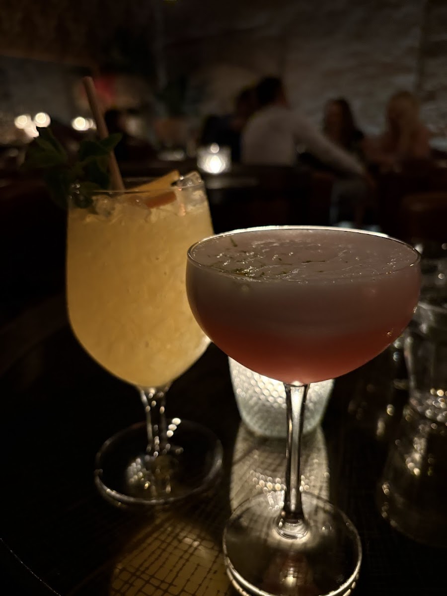 Dogma Cocktails, Antwerp