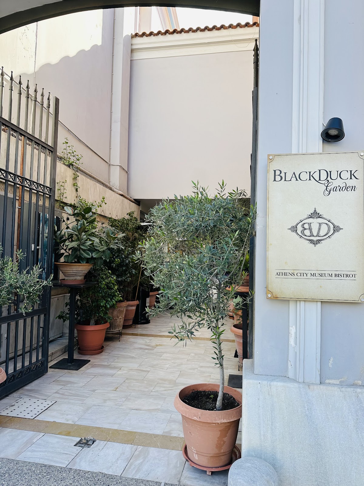 Black Duck Garden Syntagma, Athens room detail 4