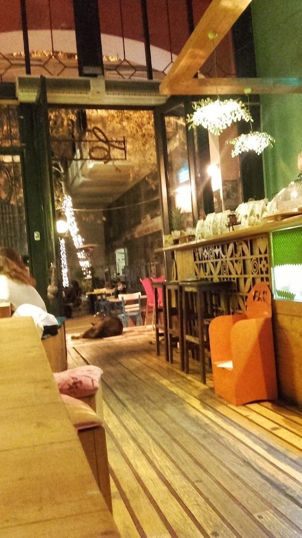 Cafe Avissinia Athens