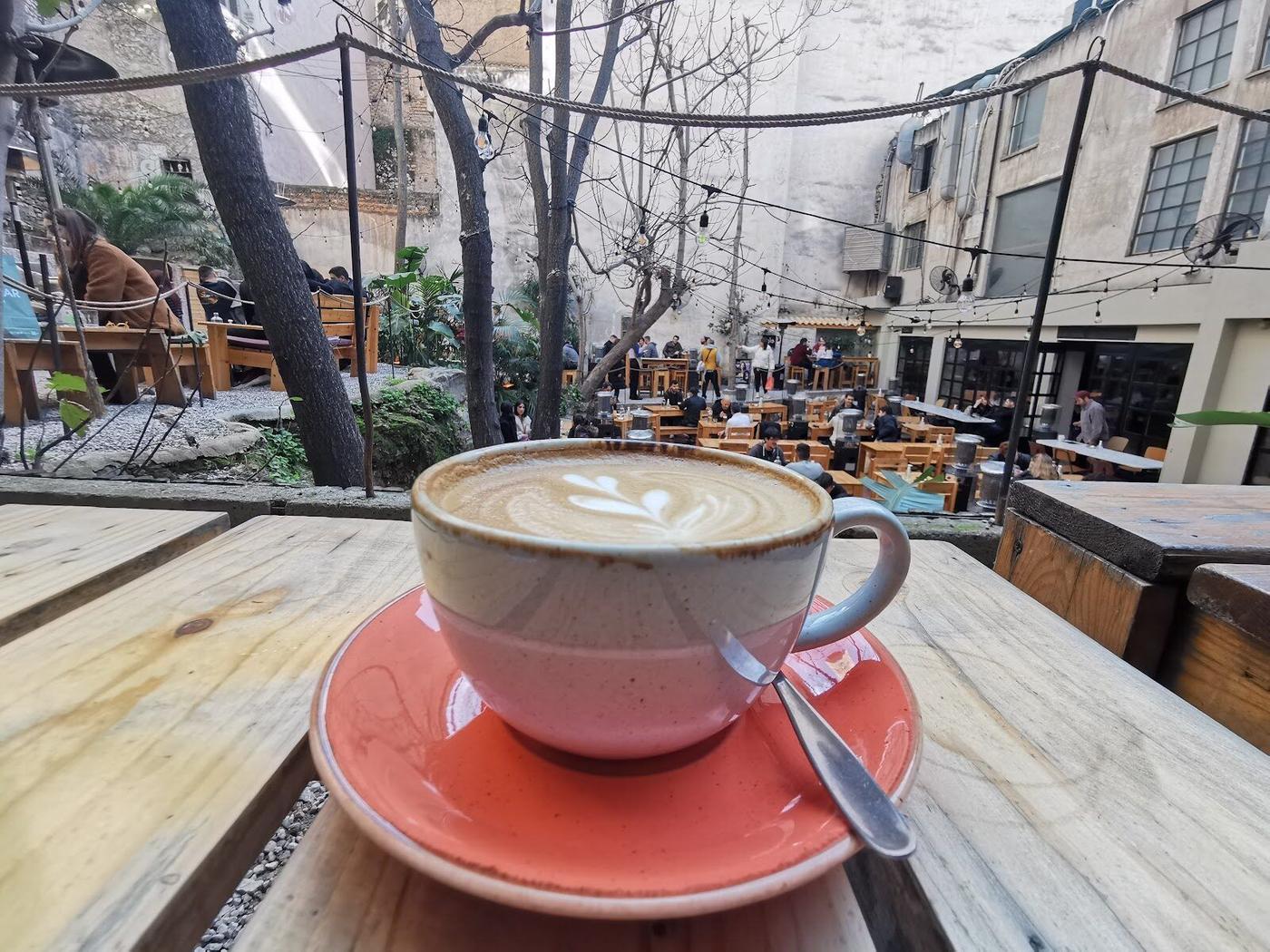 Six d.o.g.s., Athens