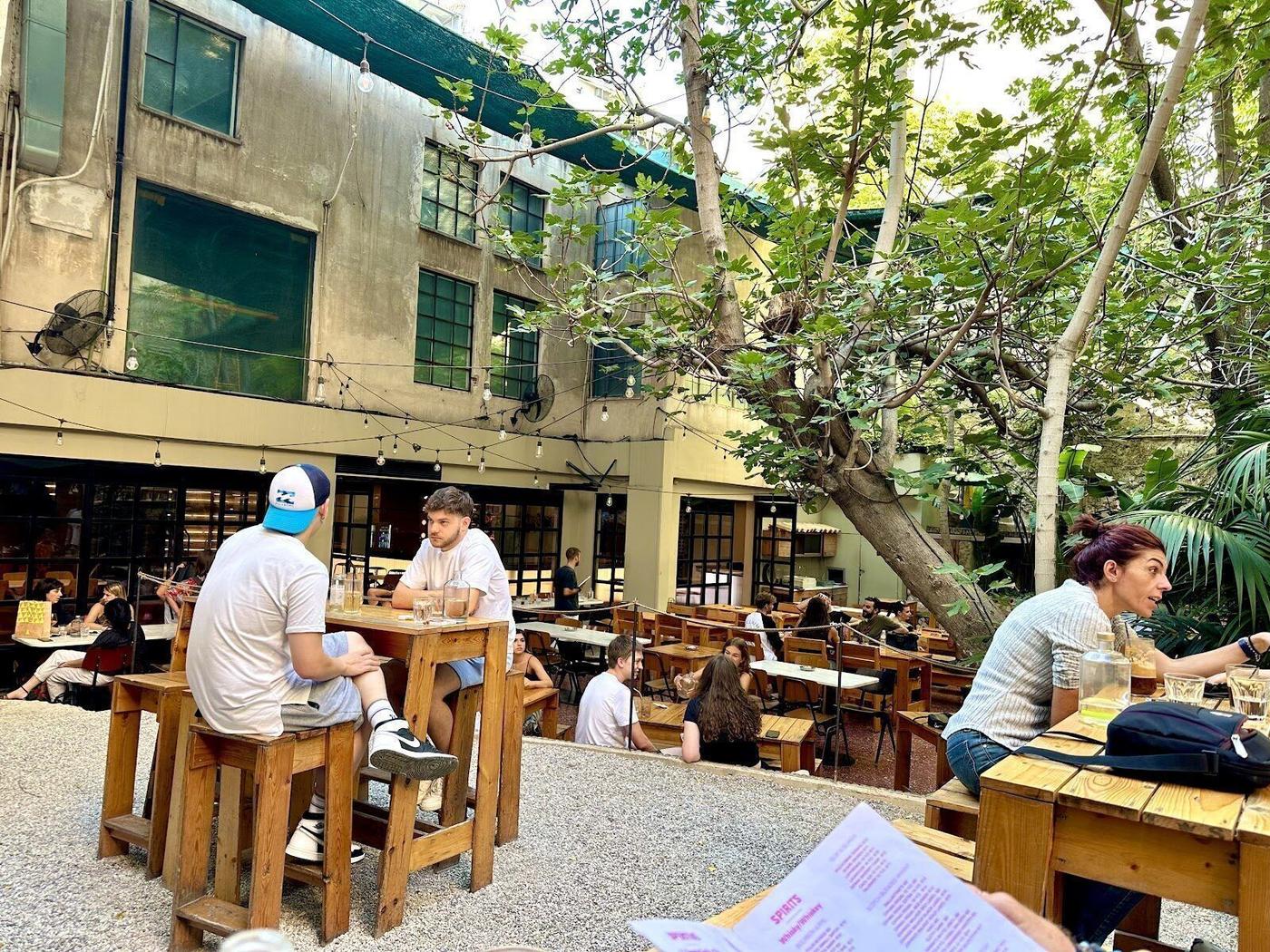 Six d.o.g.s., Athens