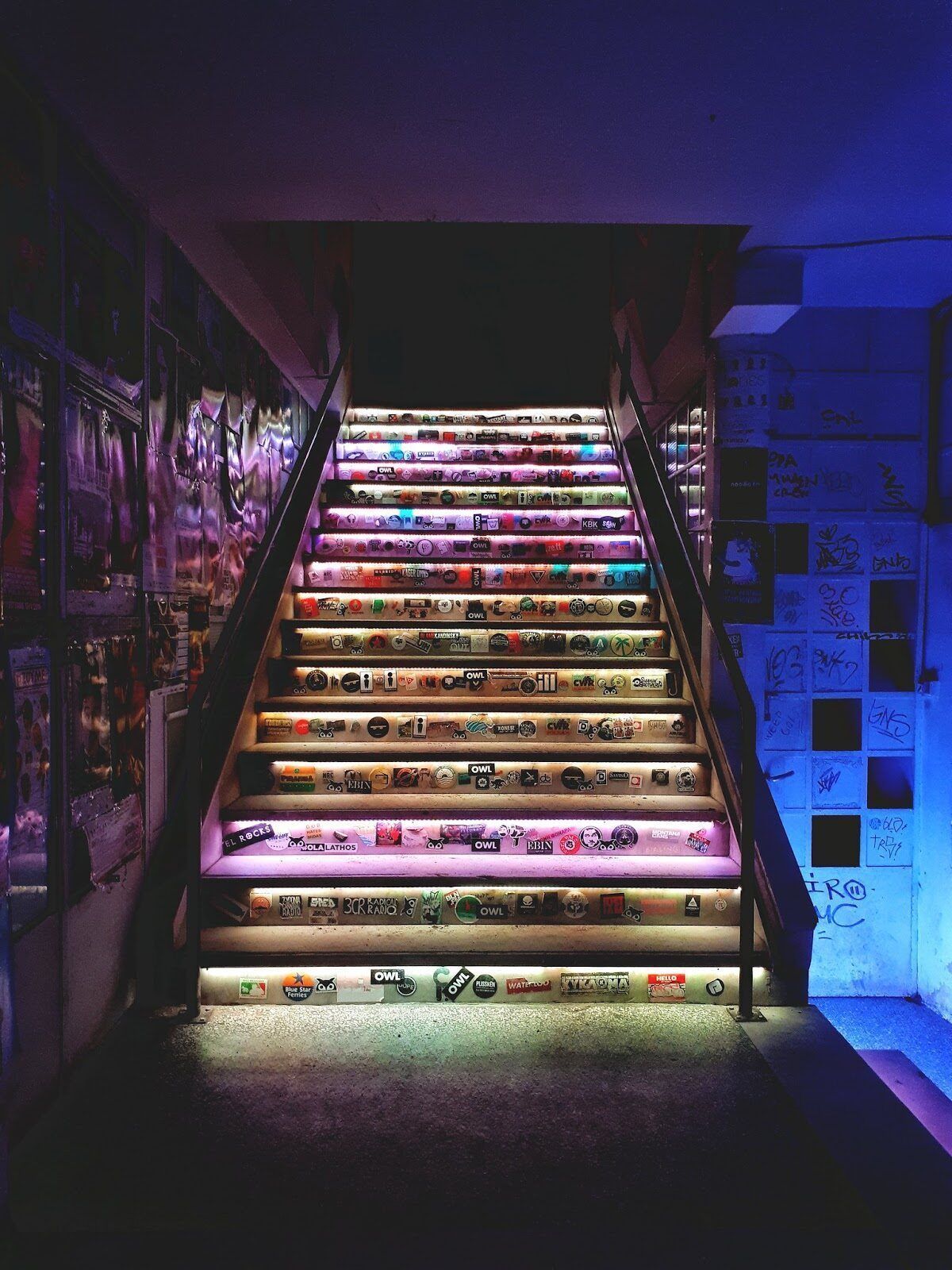 Six d.o.g.s., Athens
