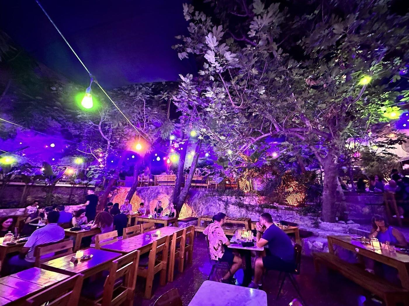 Six d.o.g.s., Athens