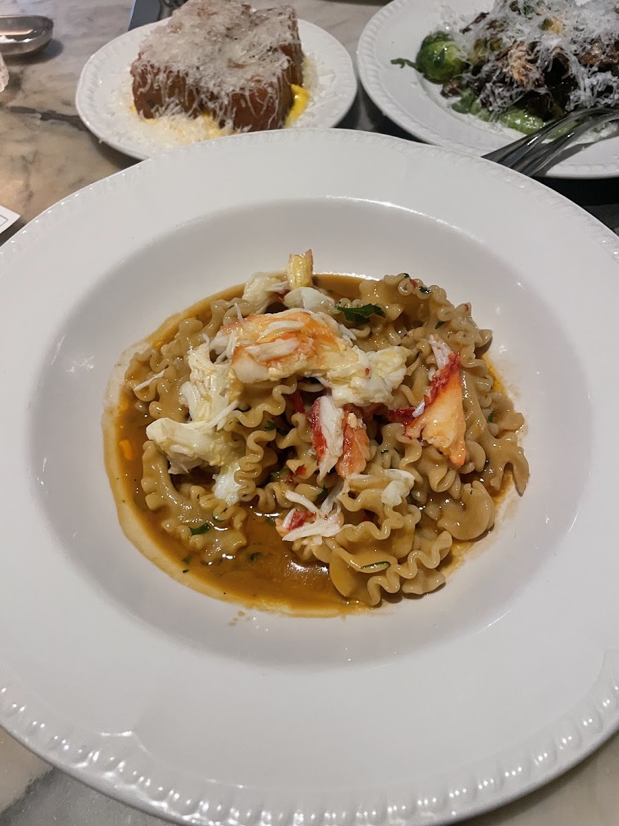 Gilt Brasserie, Auckland