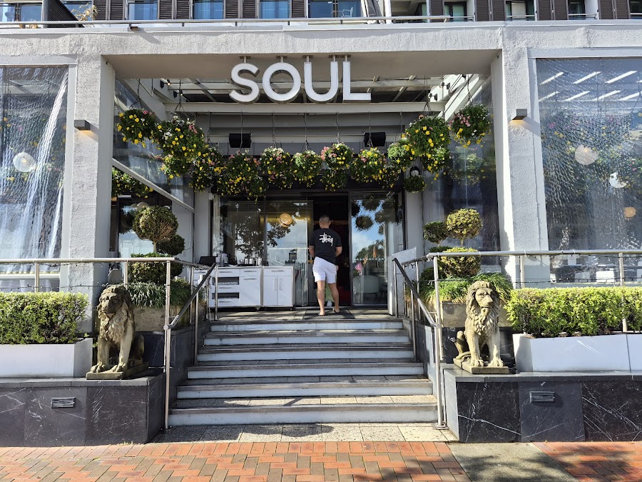 Soul Bar, Auckland