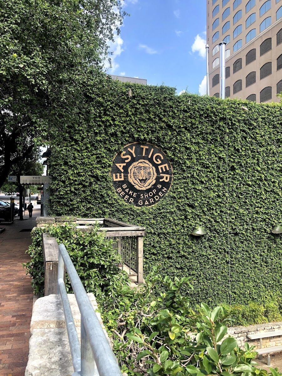 Easy Tiger Beer Garden cocktail at the bar