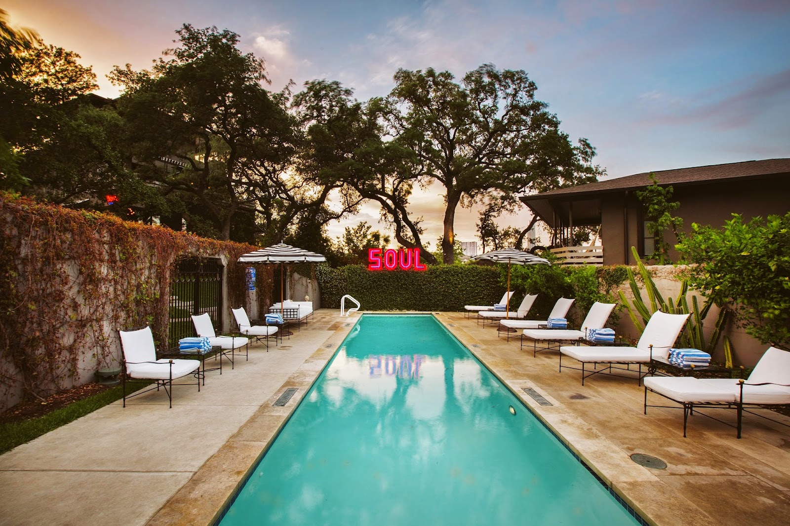Hotel Saint Cecilia Bar, Austin