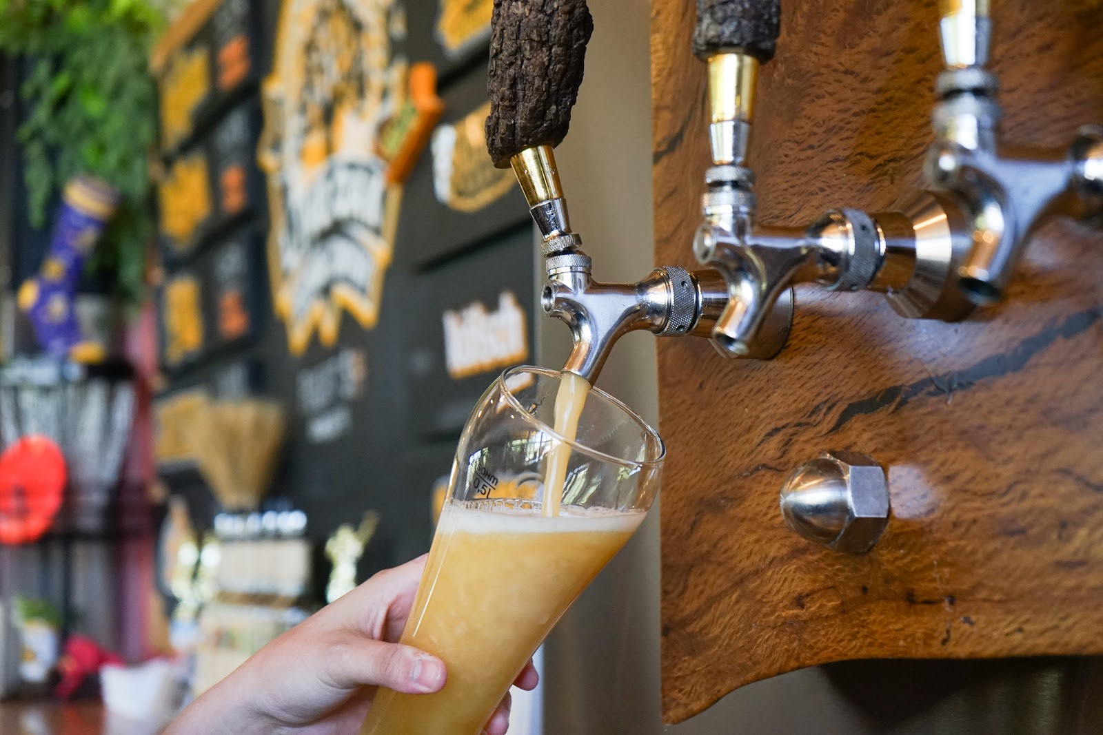 Live Oak Brewing Company, Austin