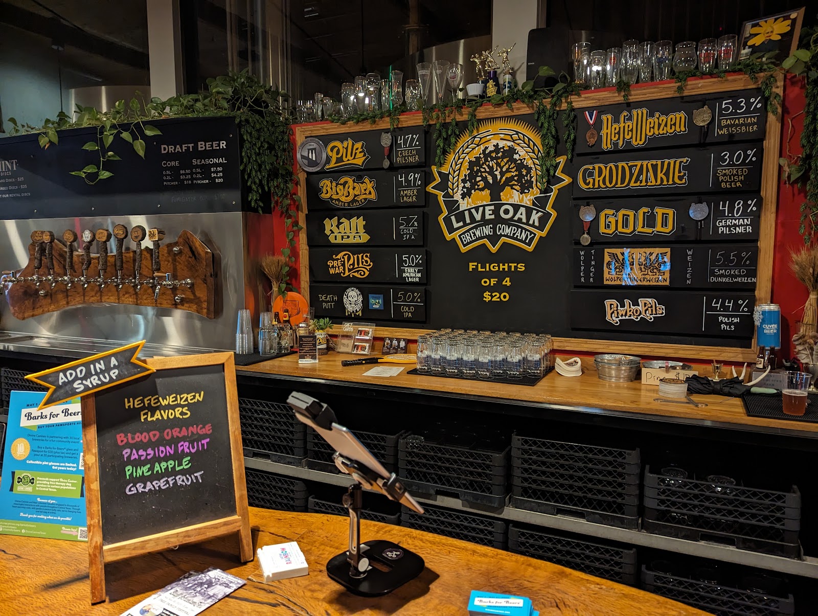 Live Oak Brewing Company, Austin