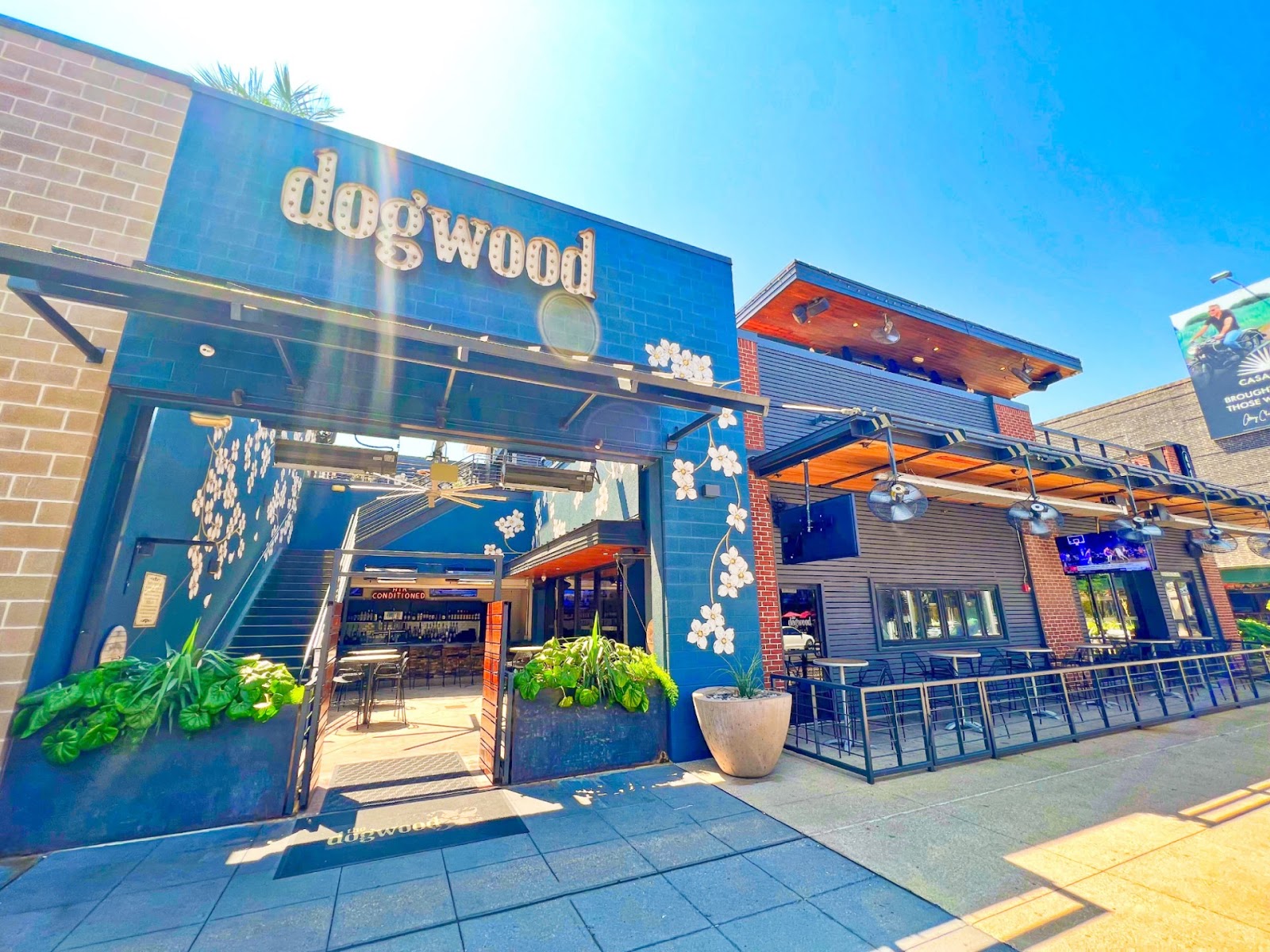 The Dogwood Domain, Austin