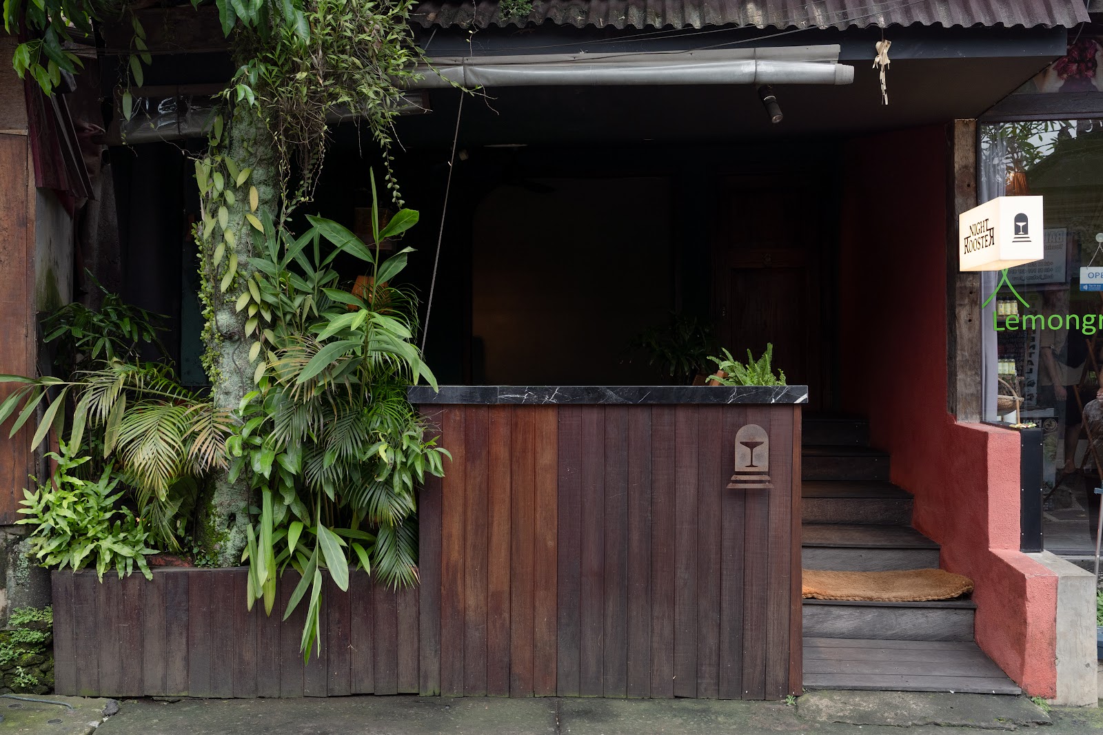 Night Rooster, Bali