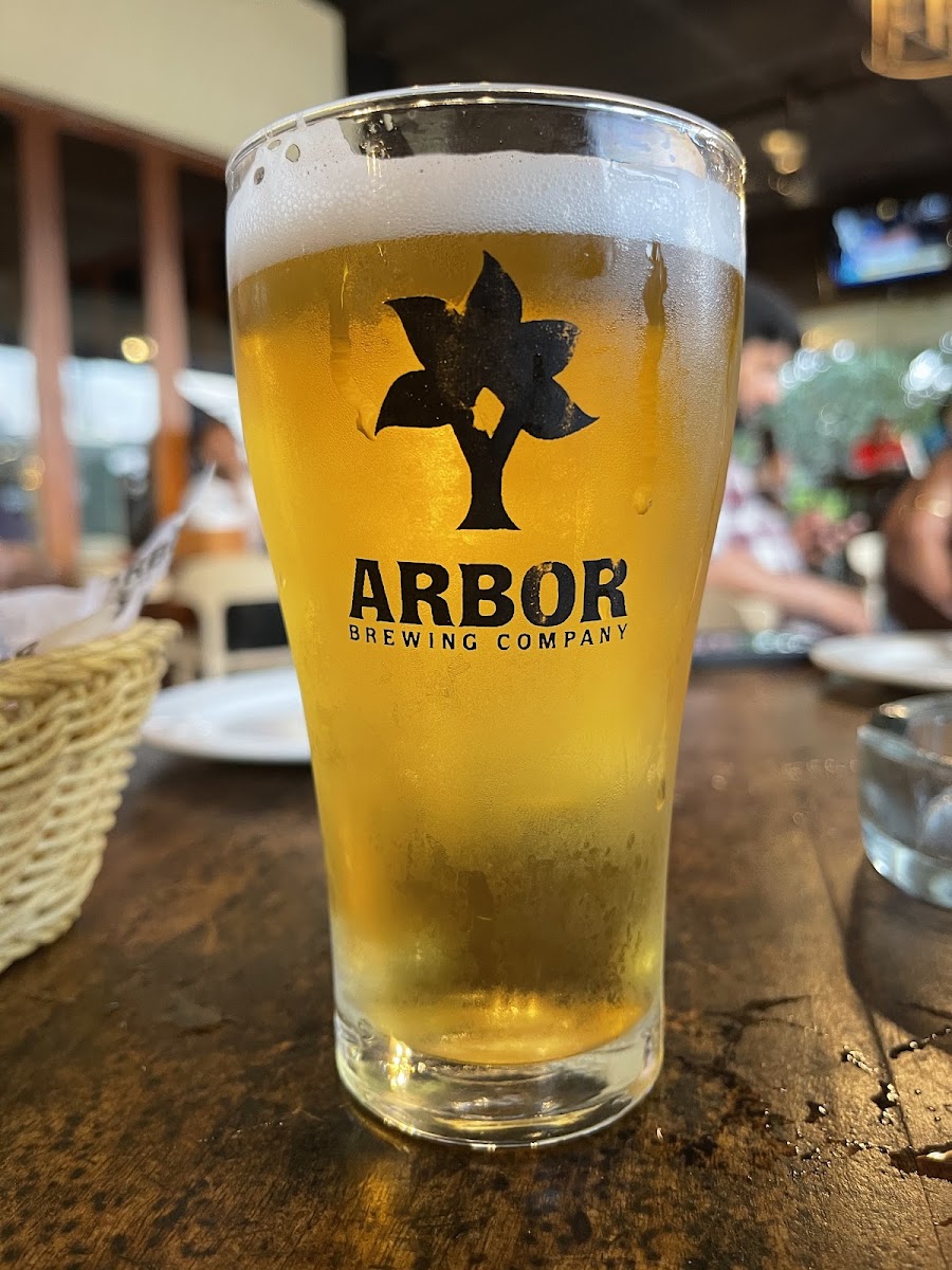 Arbor Brewing, Bangalore