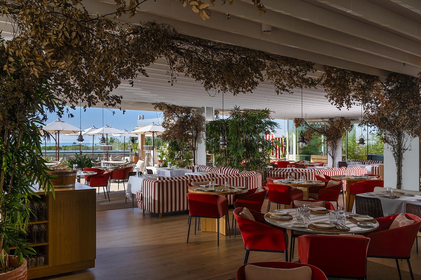 The Bamboo, Barcelona