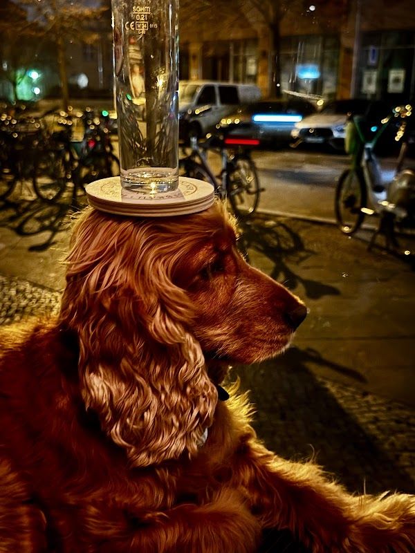 Mommsen Eck Berlin