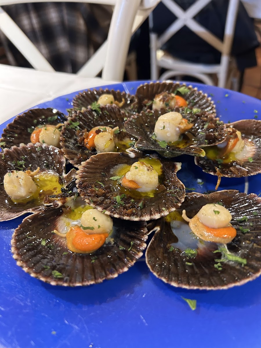Sasibil, Bilbao