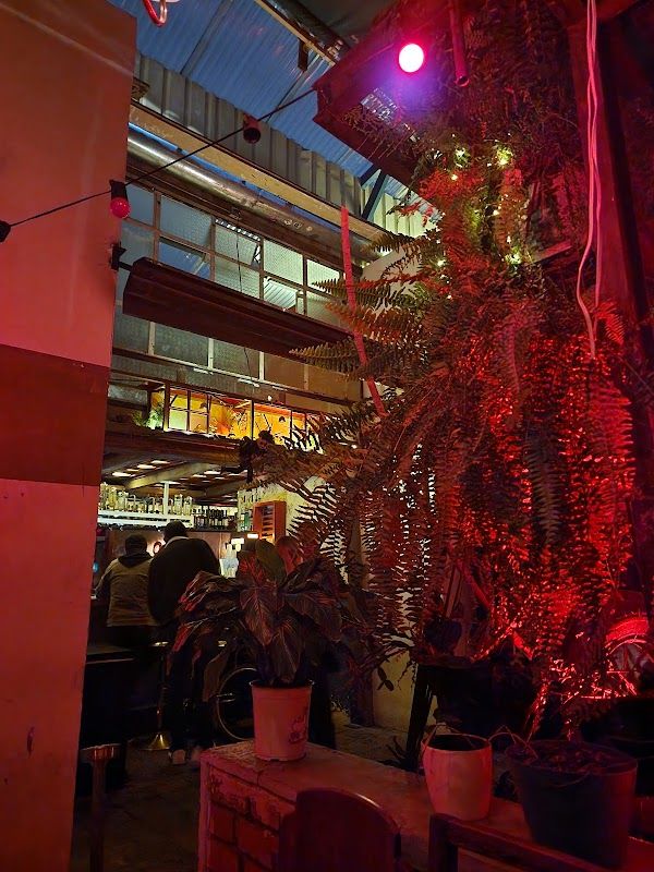 El Mono Bandido Bogota