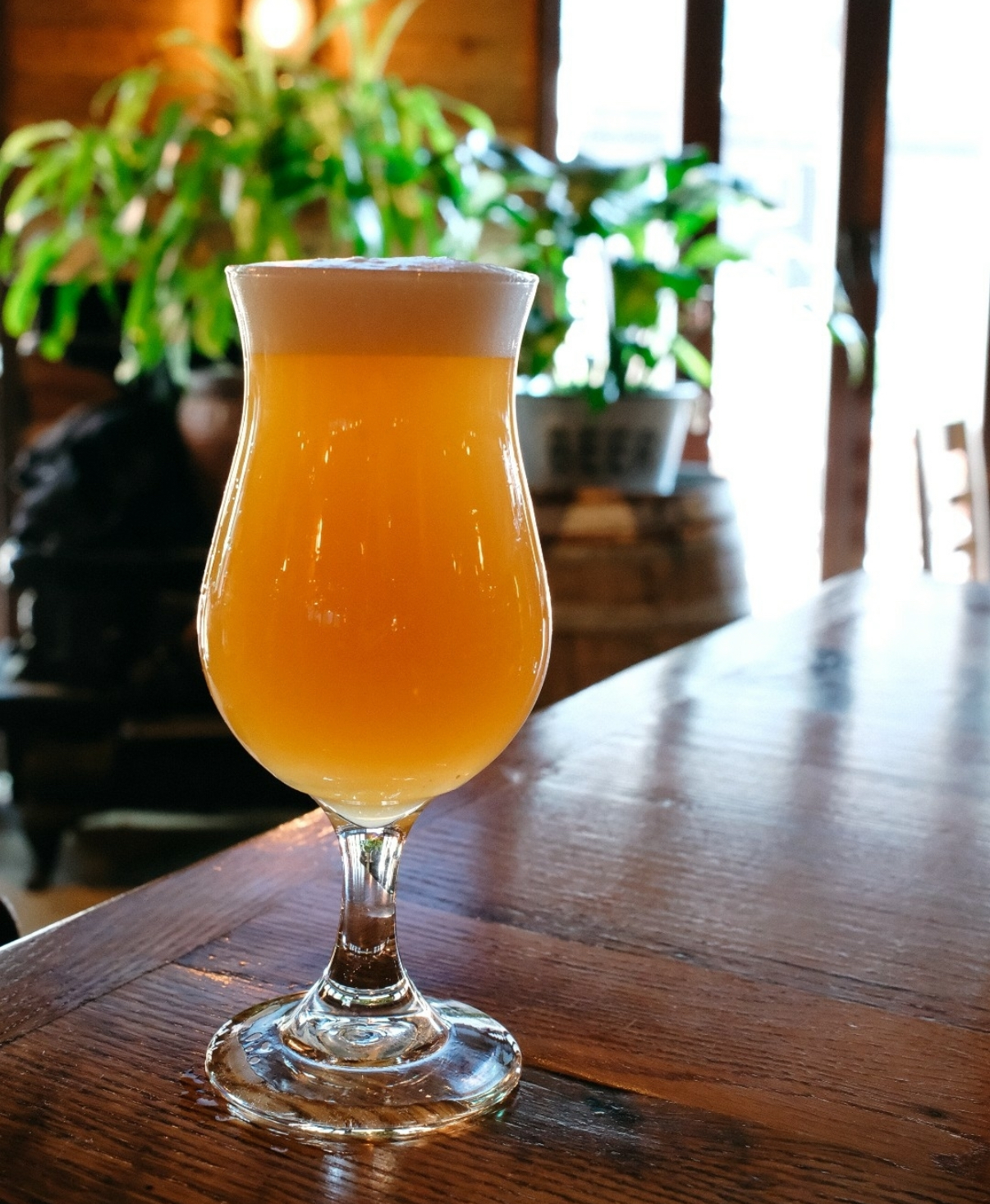 City Tap House, Boston