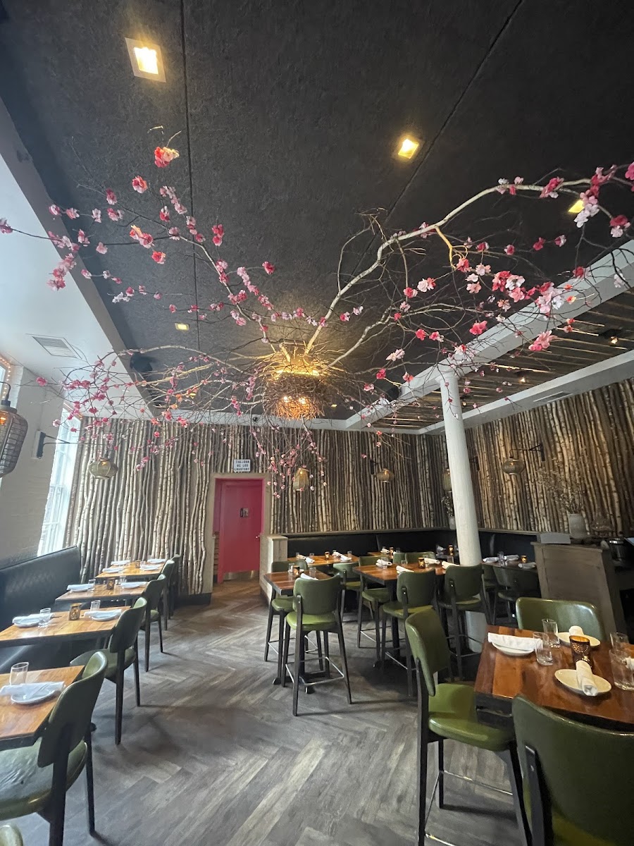 Banyan Bar + Refuge, Boston
