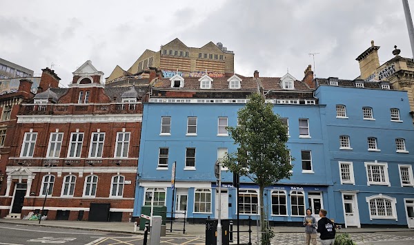 The Milk Thistle in Bristol