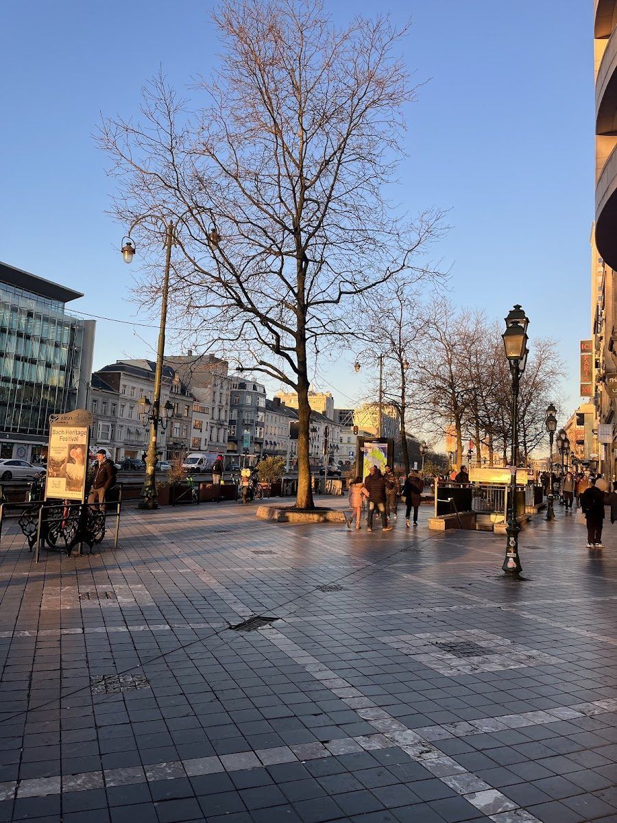 Hortense Ixelles atmosphere