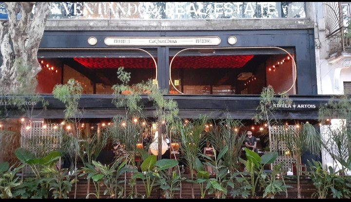 Cochinchina Buenos Aires bar interior