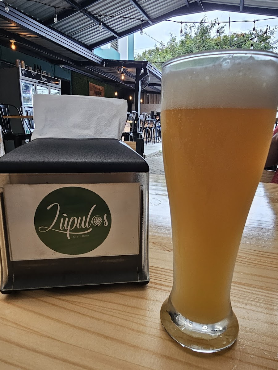 Wenpolu Craft Beer, Buenos Aires