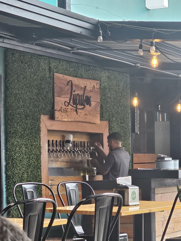 Wenpolu Craft Beer in Buenos Aires