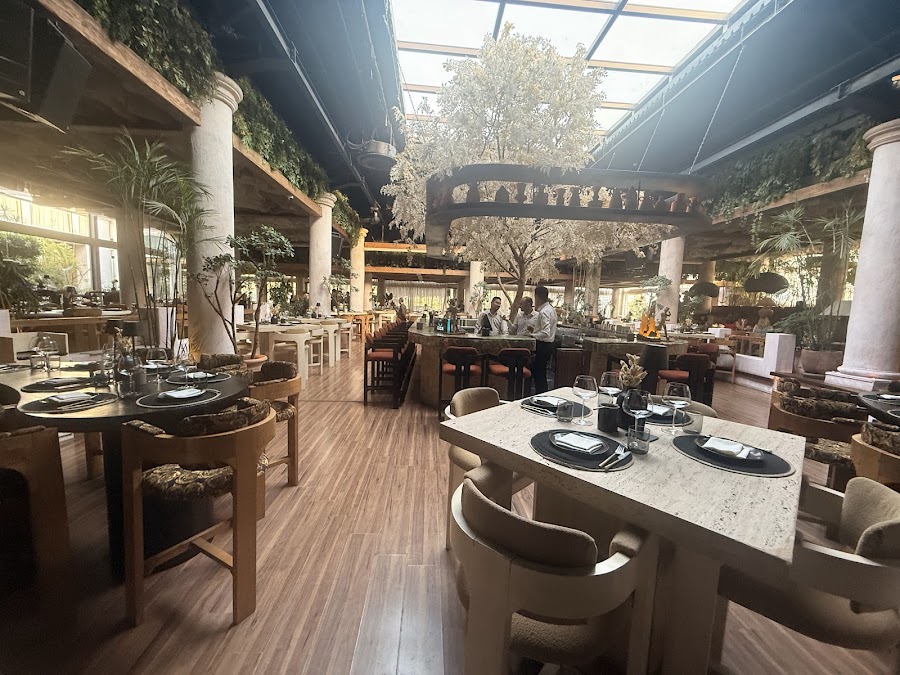 The Lemon Tree, Cairo