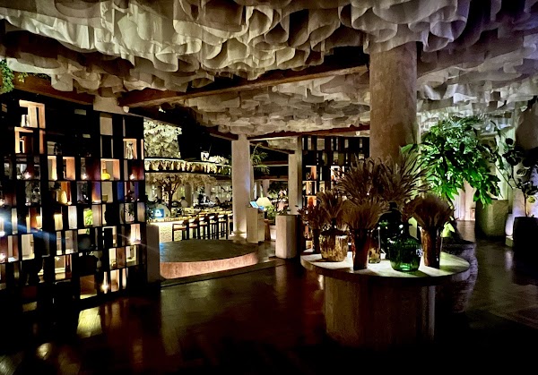The Lemon Tree in Cairo