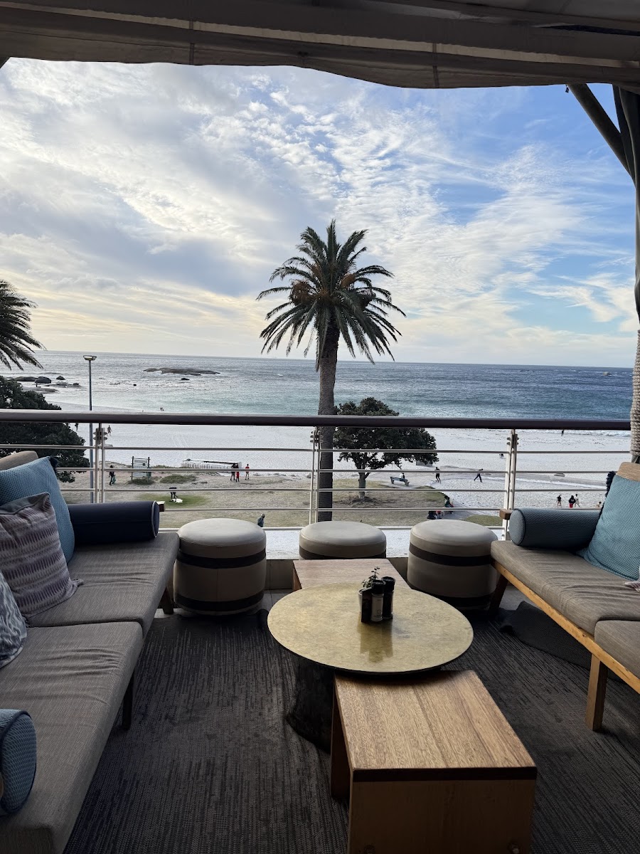 Chinchilla, Cape Town