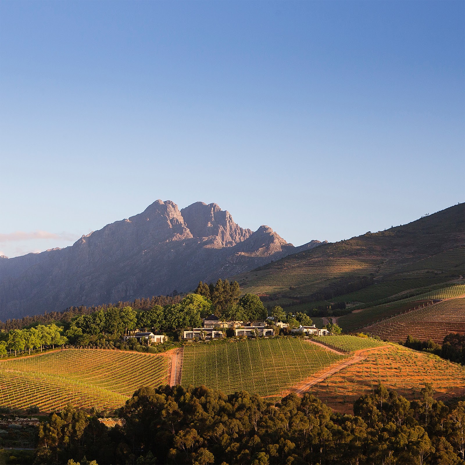 Delaire Graff Wine Lounge, Cape Town