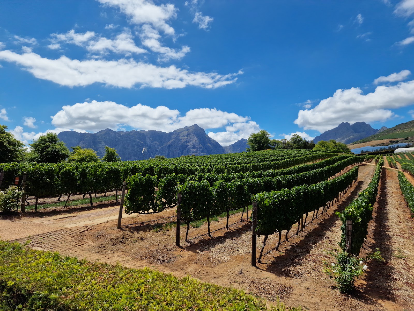 Delaire Graff Wine Lounge, Cape Town