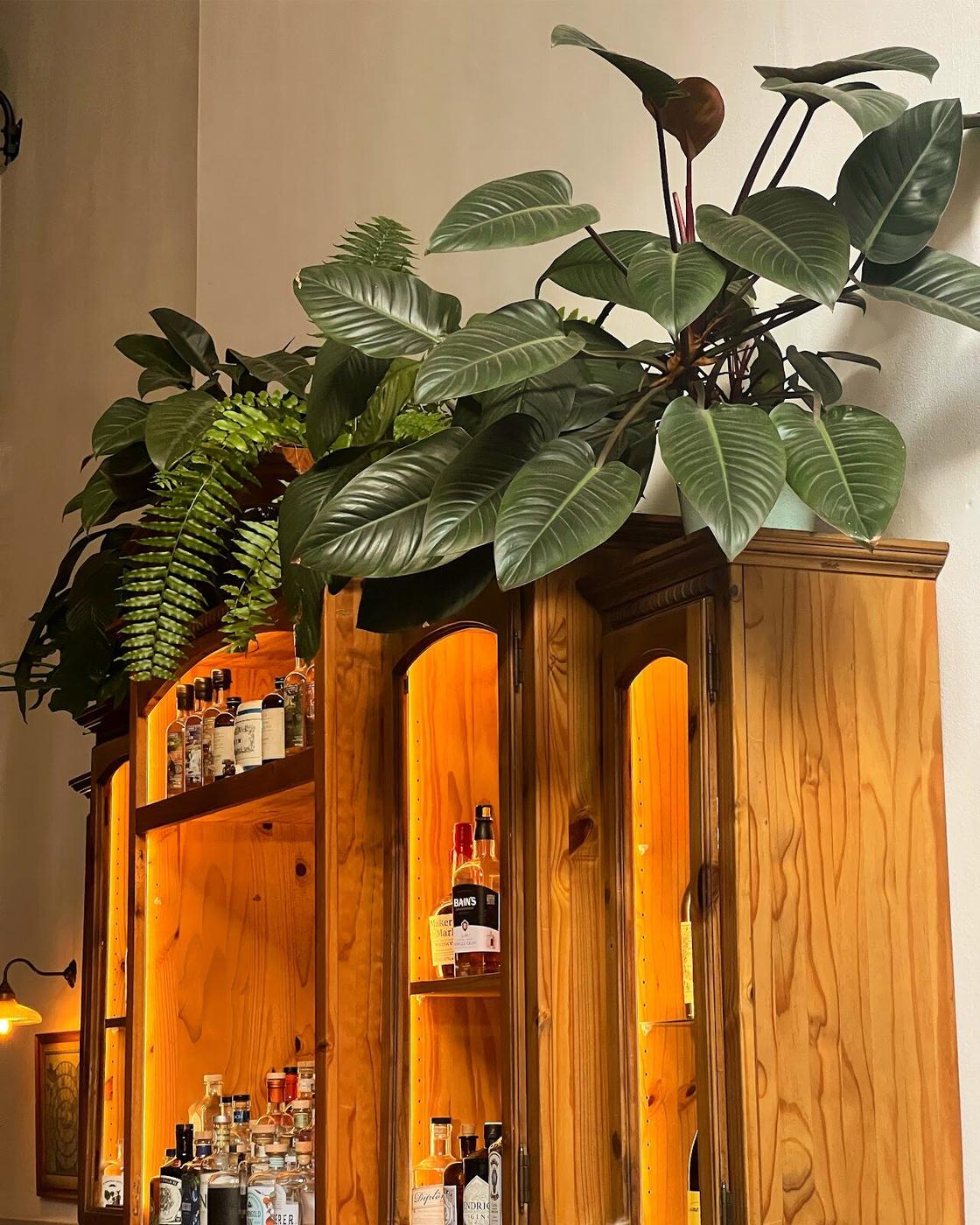 The Gin Bar, Cape Town