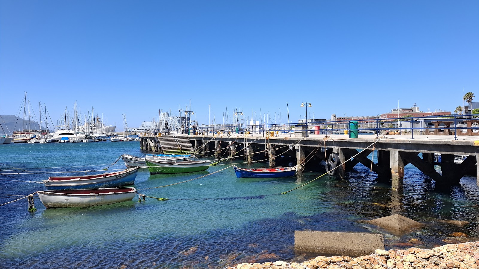 The Salty Dog, Cape Town