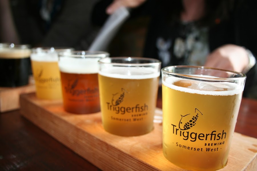Triggerfish Brewing, Cape Town