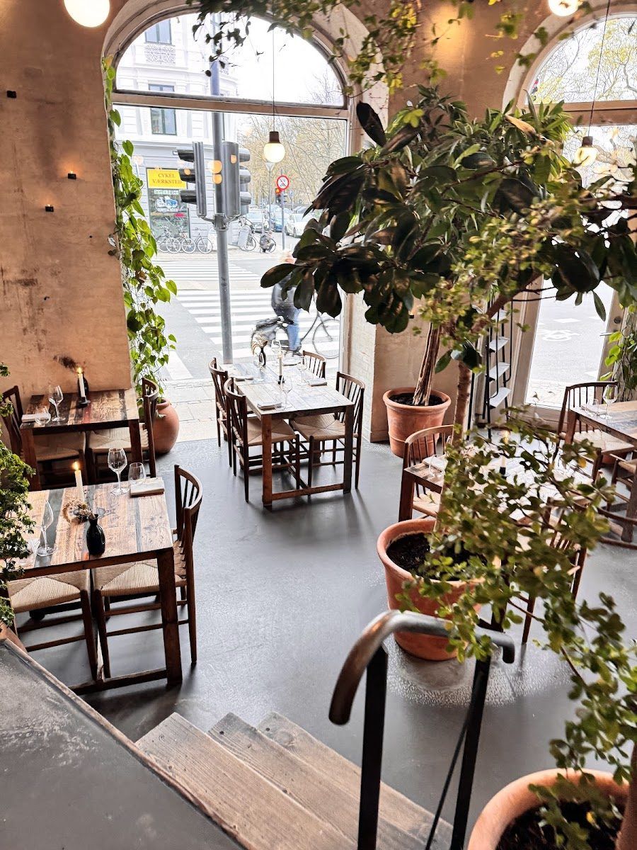 Host Restaurant Bar Copenhagen interior