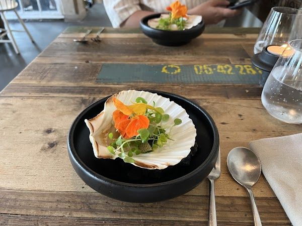 Noma Project Bar Copenhagen