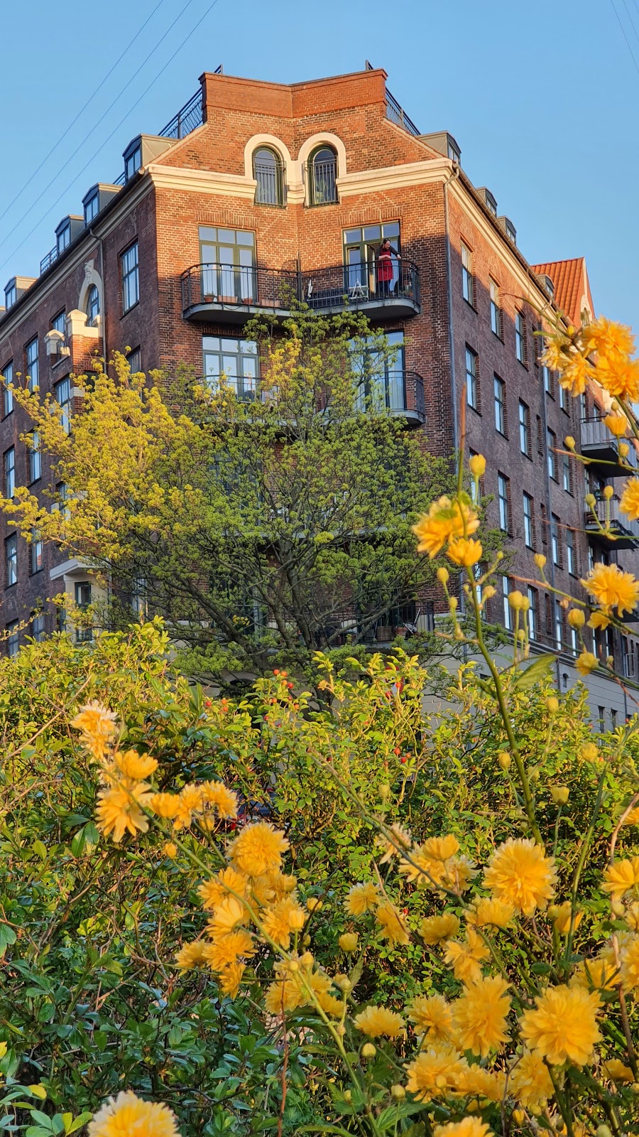 Vesterbro pour