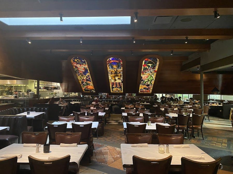 Meddlesome Moth, Dallas