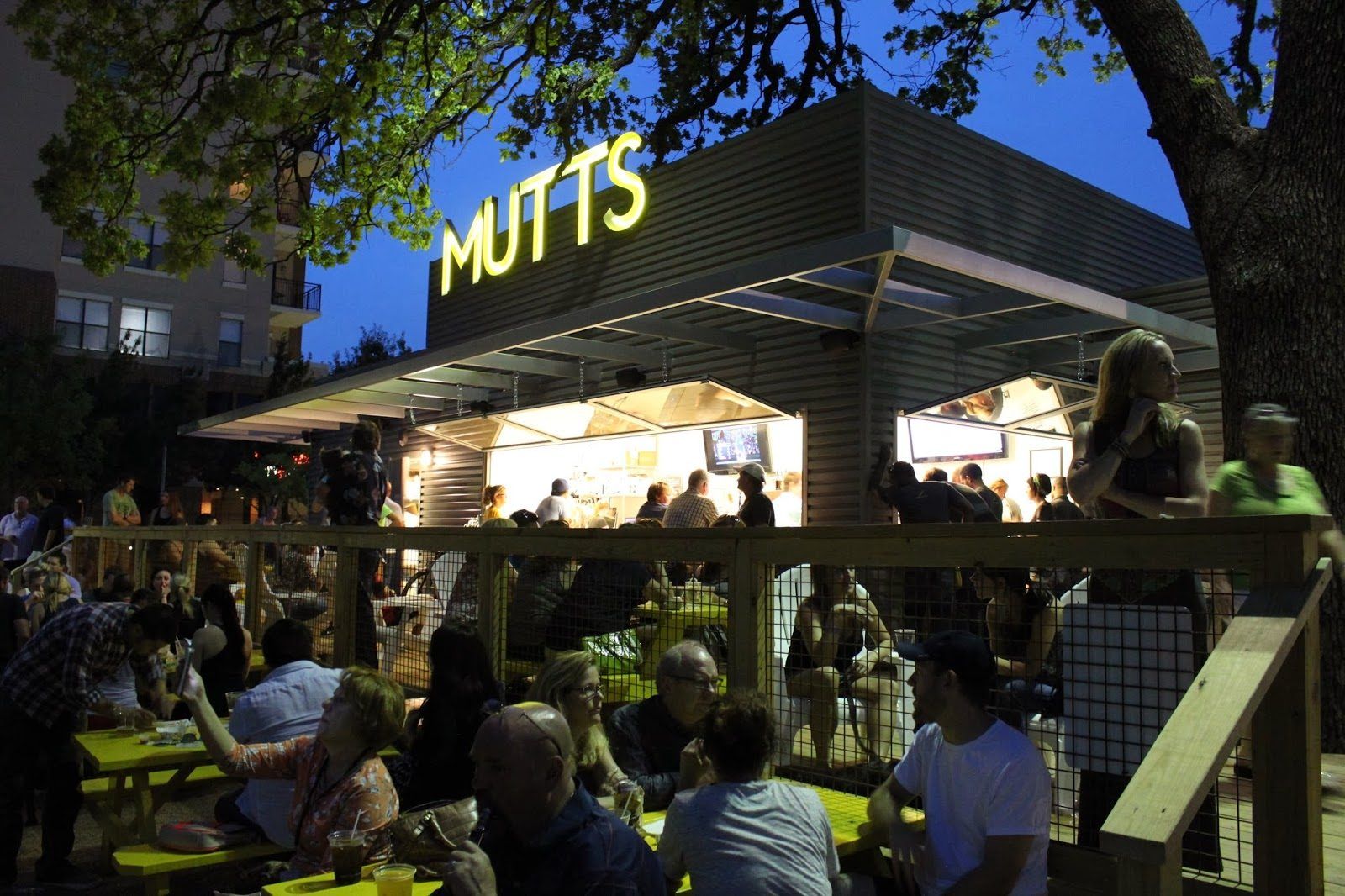 Mutts Canine Cantina Dallas bar interior