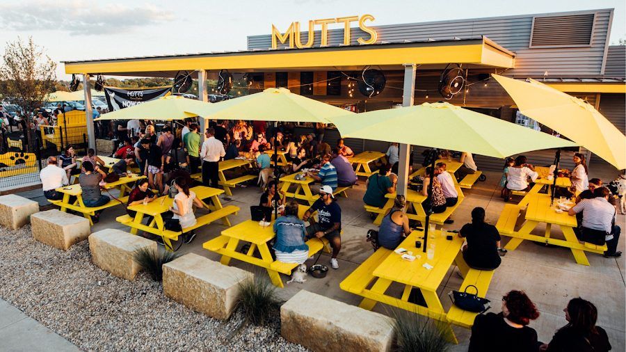 Mutts Canine Cantina cocktail at the bar
