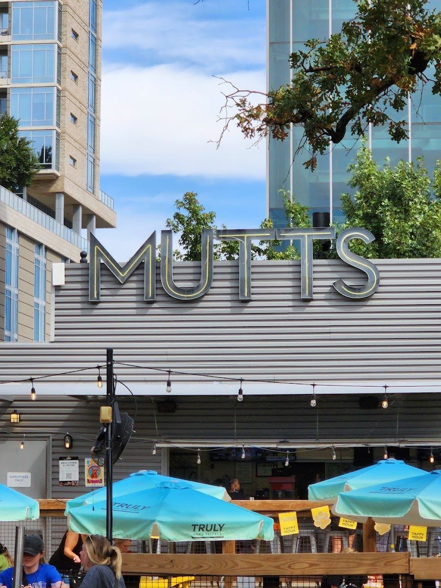 Mutts Canine Cantina bar service