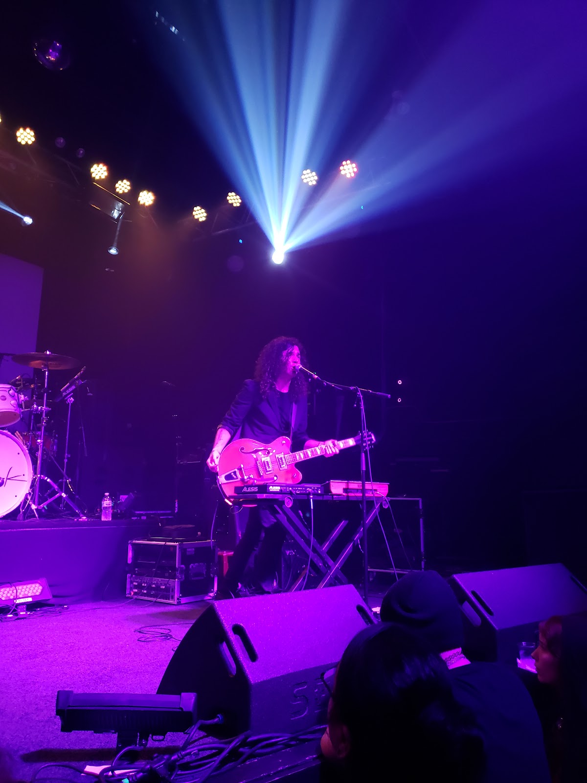 Trees, Dallas