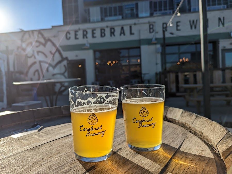 Cerebral Brewing Denver interior