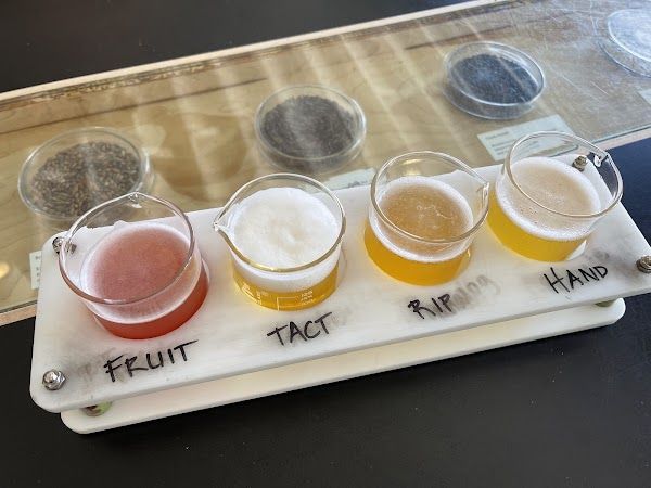 Blue Moon Brewing Co at the Sandlot Denver