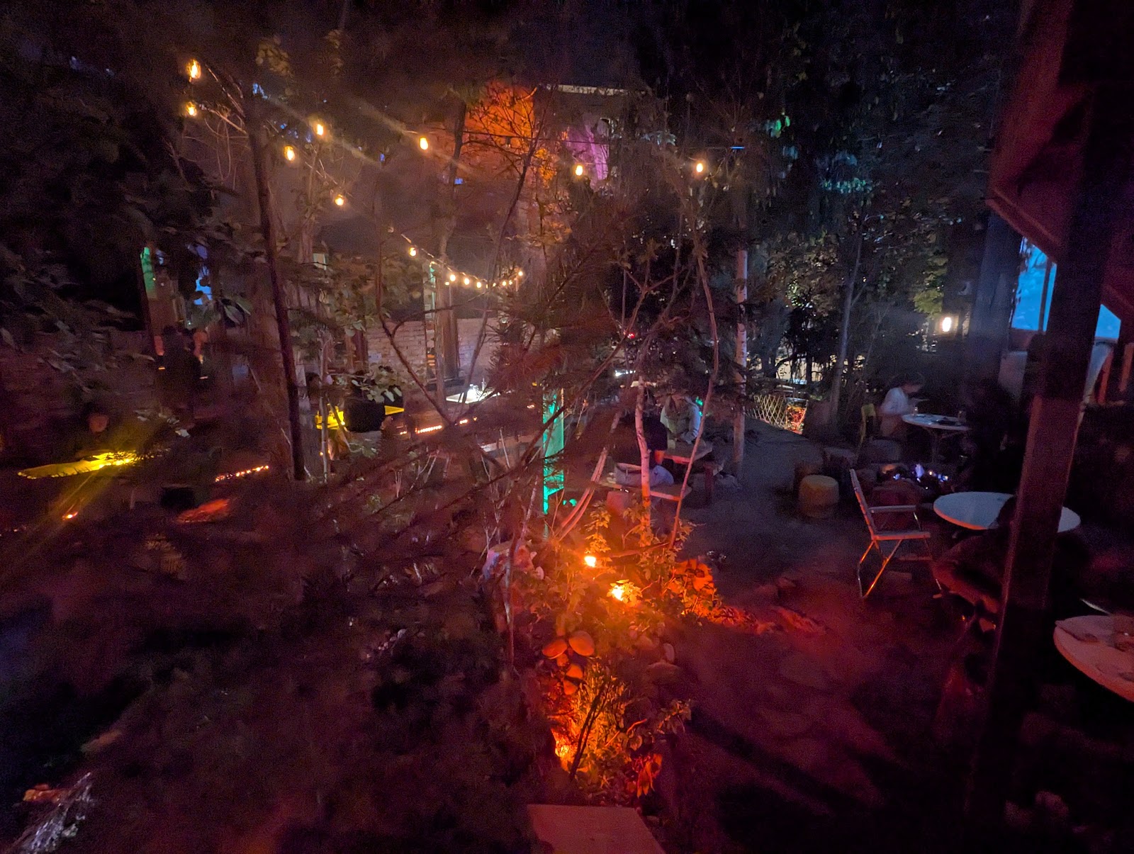 Forest Room 5, Denver