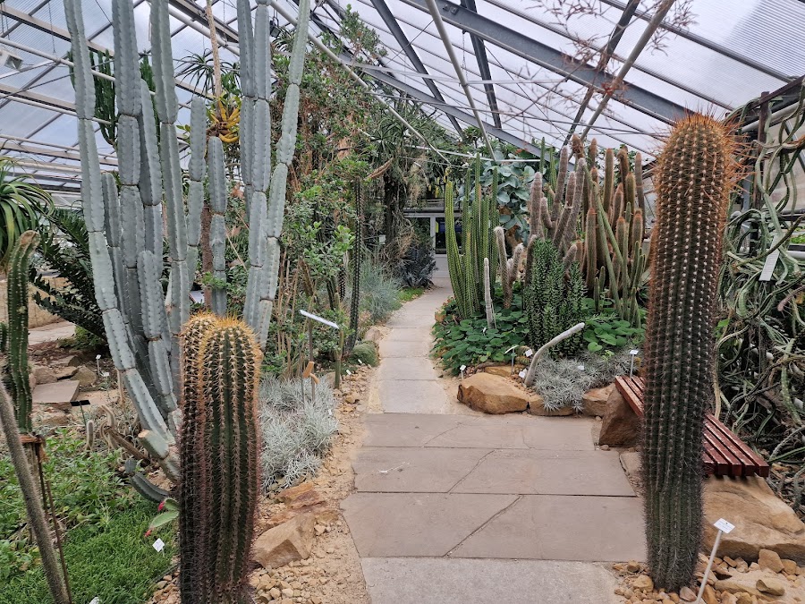 Botanicum, Dresden