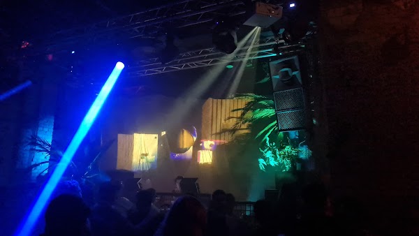 Sektor Evolution in Dresden