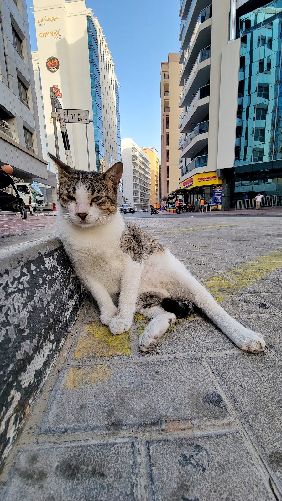 Barsha, Dubai